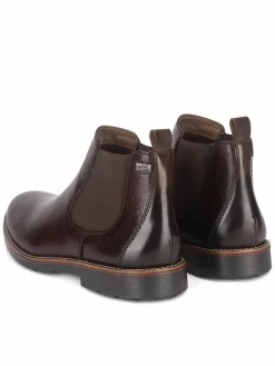 Chelsea 35382-25 Marrone