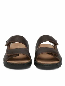 Ciabatte CEO-20390-24 Marrone