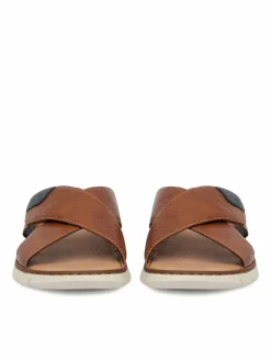 Ciabatte CEO-25283-22 Marrone