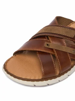 Ciabatte CEO-25292-24 Marrone