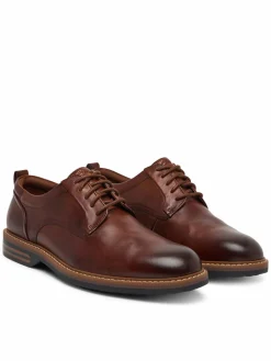 Scarpe basse Aldwin2 Derby 26320300 Marrone