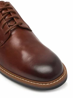 Scarpe basse Aldwin2 Derby 26320300 Marrone