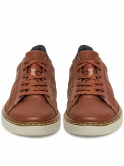 Scarpe basse B4903-24 Marrone