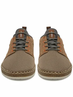 Scarpe basse CEO-B5252-66 Marrone