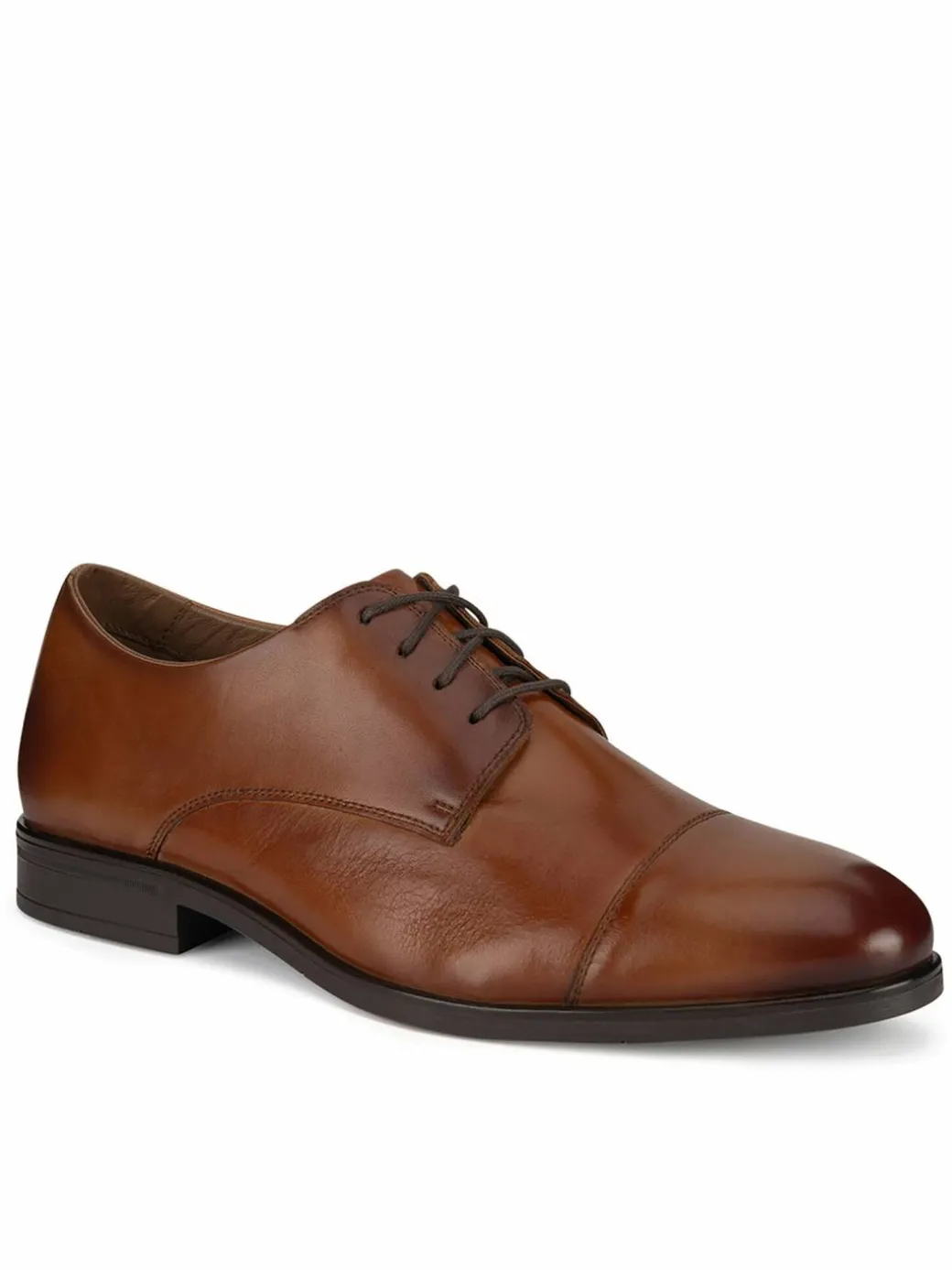 Scarpe basse CEO-PASCAL-02 MI25 Marrone