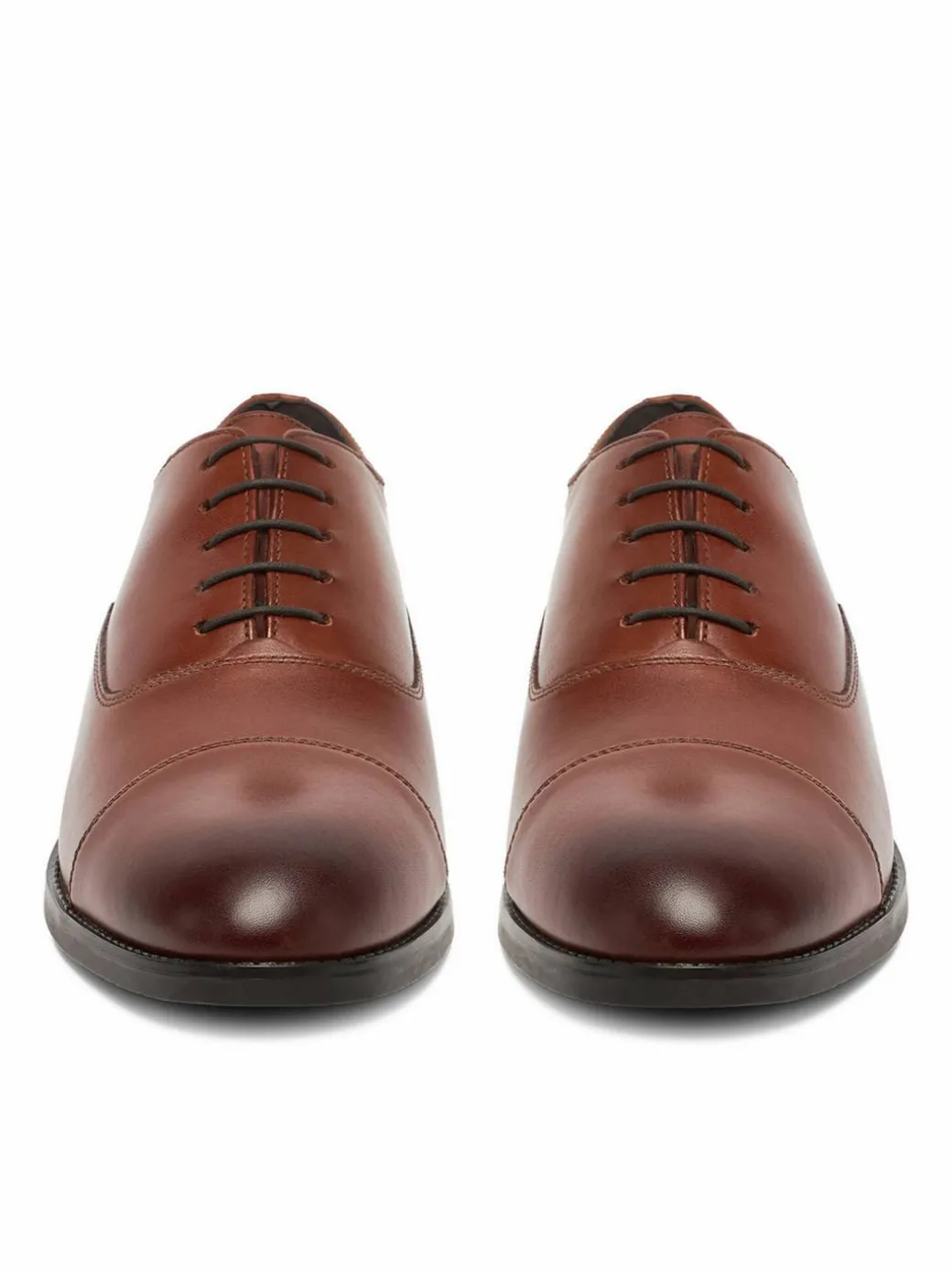 Scarpe basse CEO-ROYAL2-01 MI08 Marrone