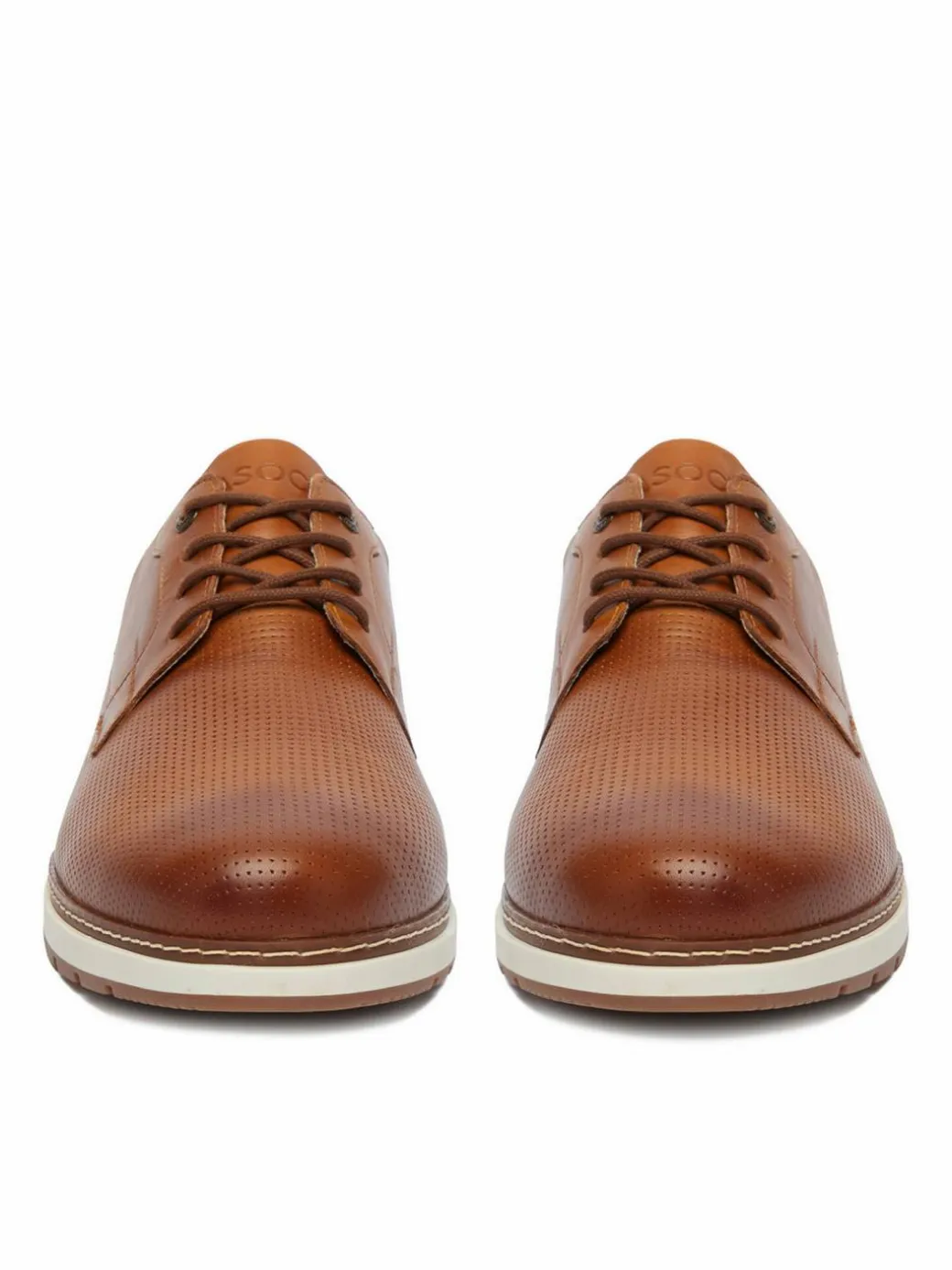 Scarpe basse CEO-SINTRA-01 MI24 Marrone