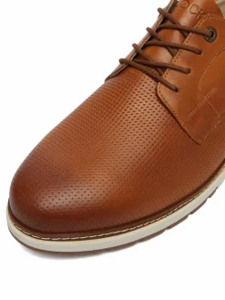 Scarpe basse CEO-SINTRA-01 MI24 Marrone