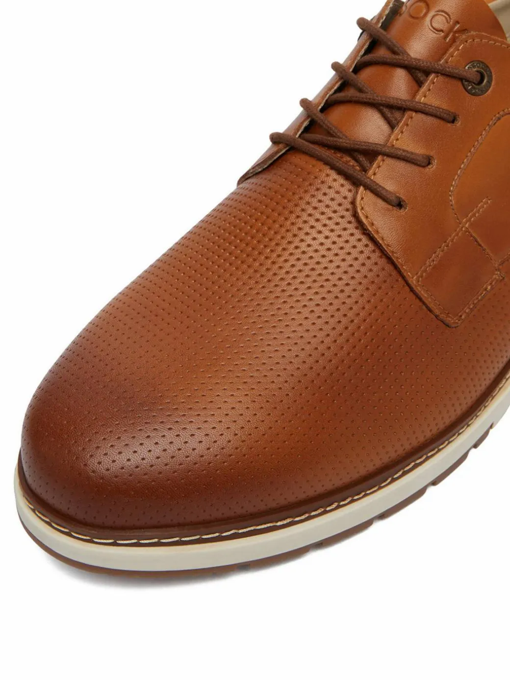Scarpe basse CEO-SINTRA-01 MI24 Marrone