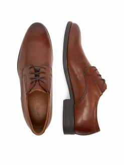Scarpe basse CEO-SZWEJK-33 MB Marrone scuro