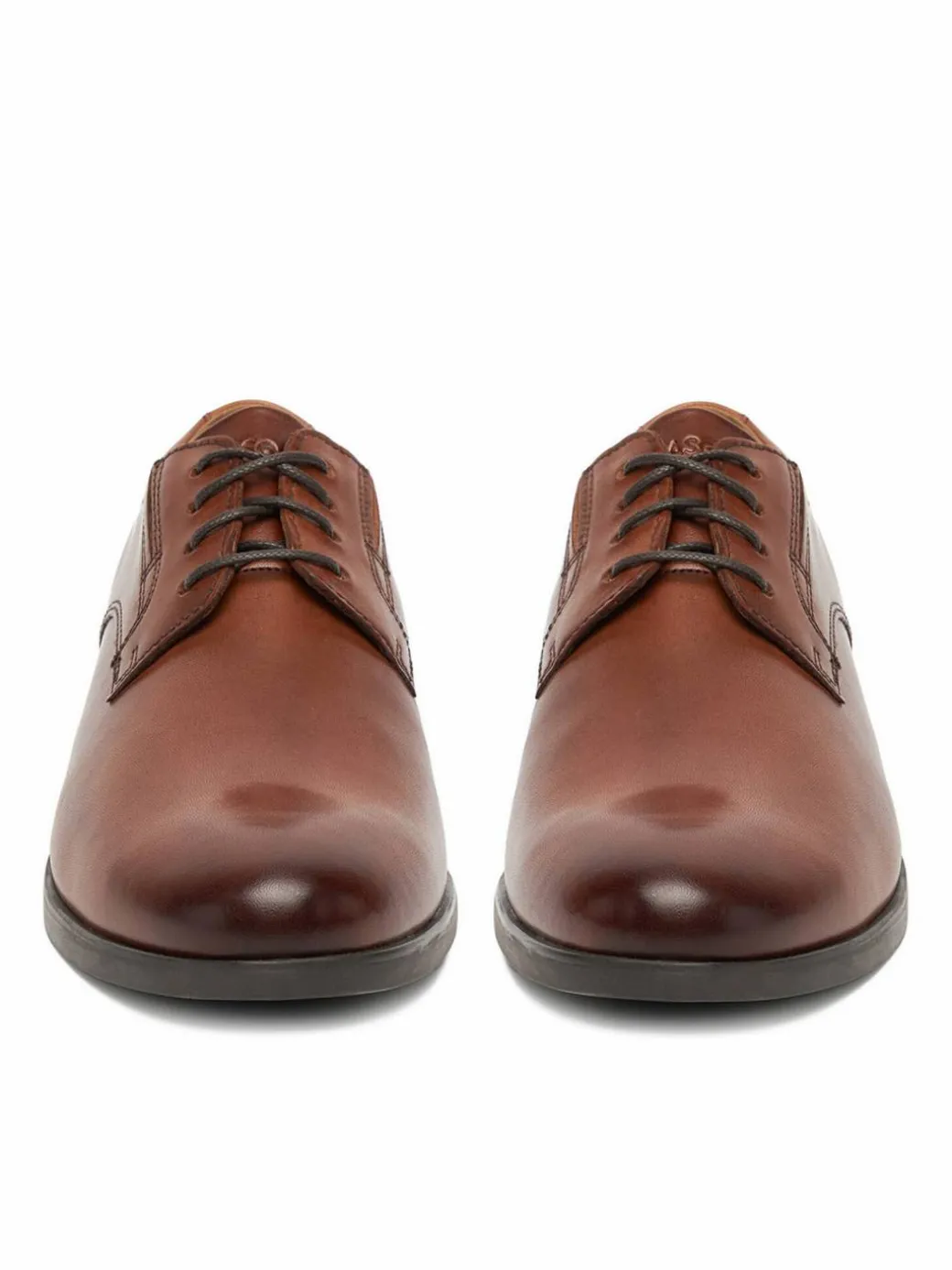 Scarpe basse CEO-SZWEJK-33 MB Marrone scuro