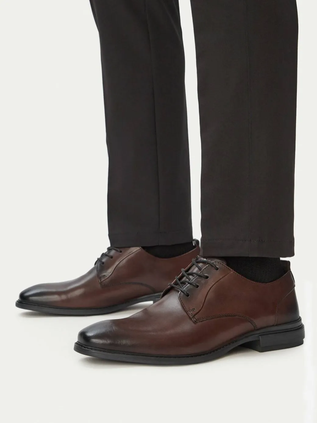 Scarpe basse CEO-ZAHARY-26 MI25 Marrone scuro