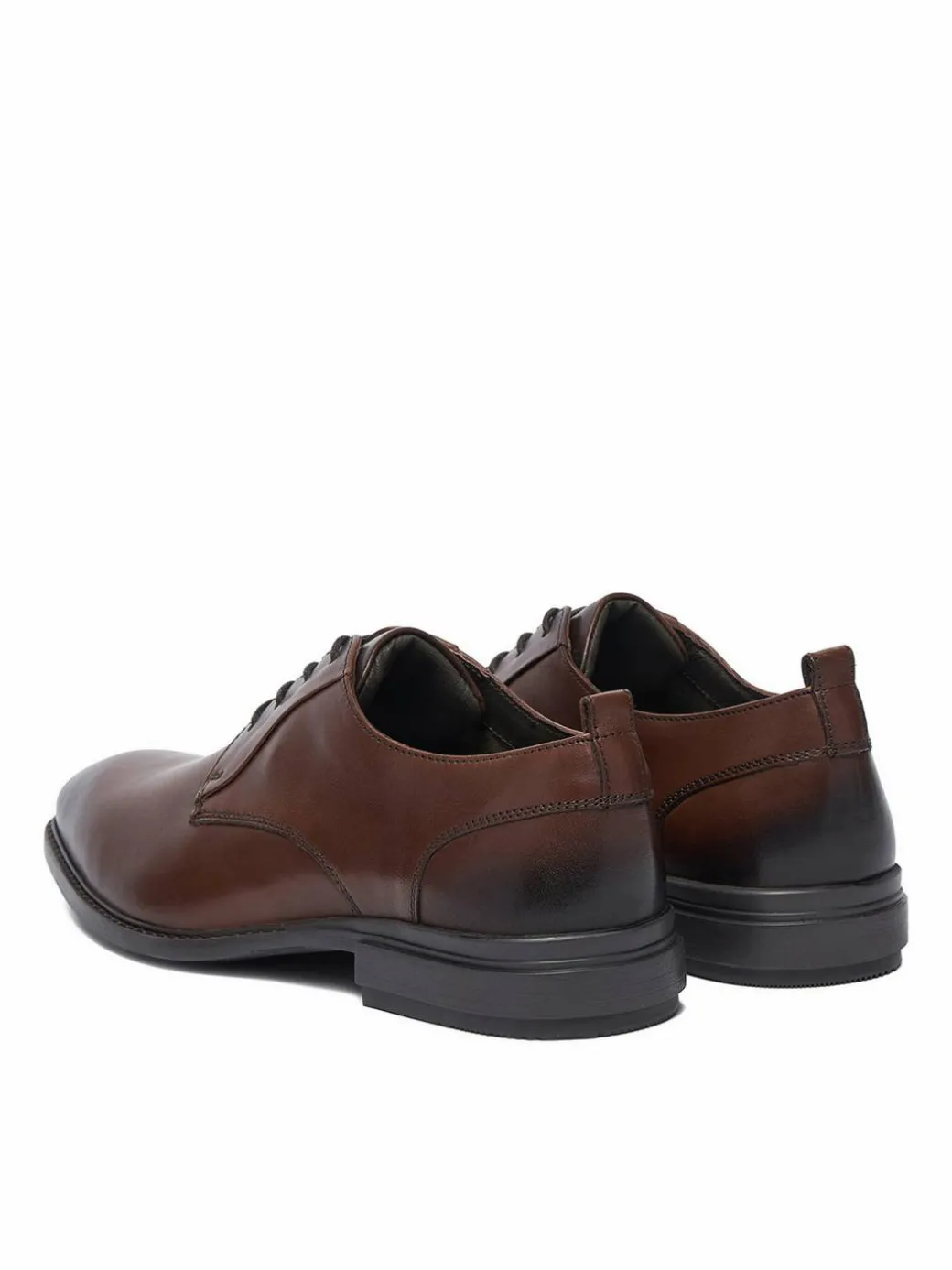 Scarpe basse CEO-ZAHARY-26 MI25 Marrone scuro