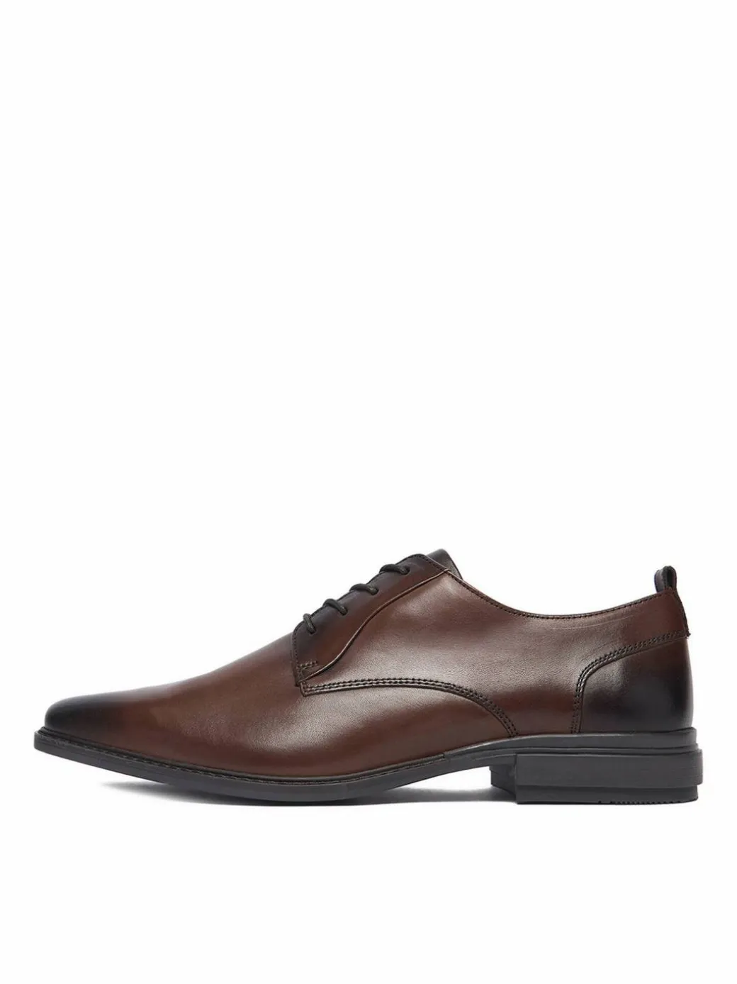 Scarpe basse CEO-ZAHARY-26 MI25 Marrone scuro