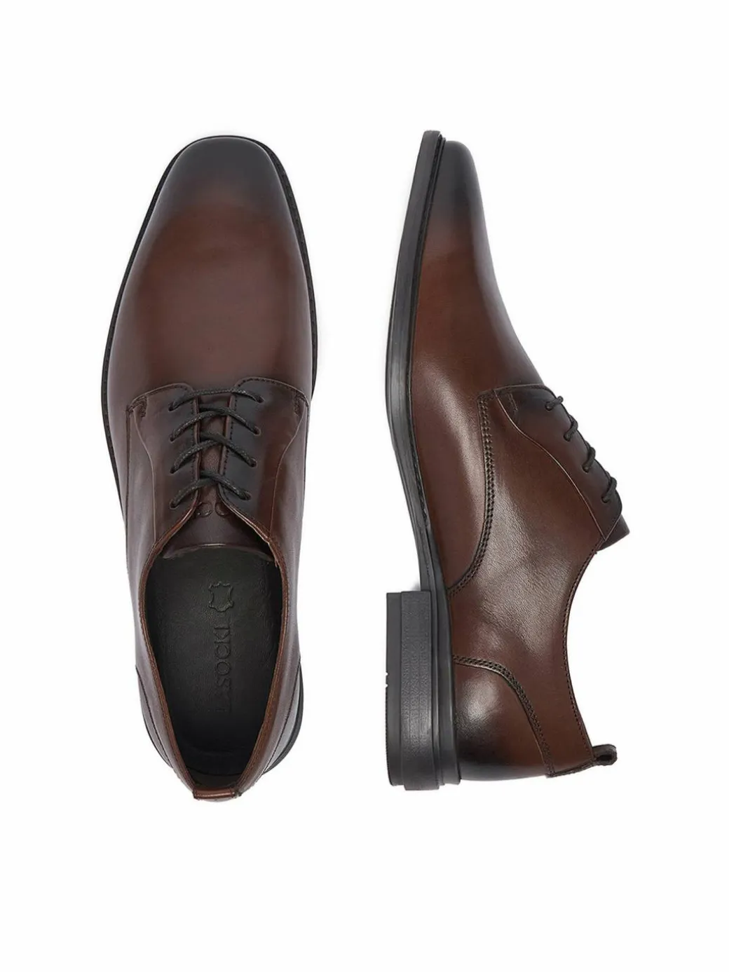 Scarpe basse CEO-ZAHARY-26 MI25 Marrone scuro