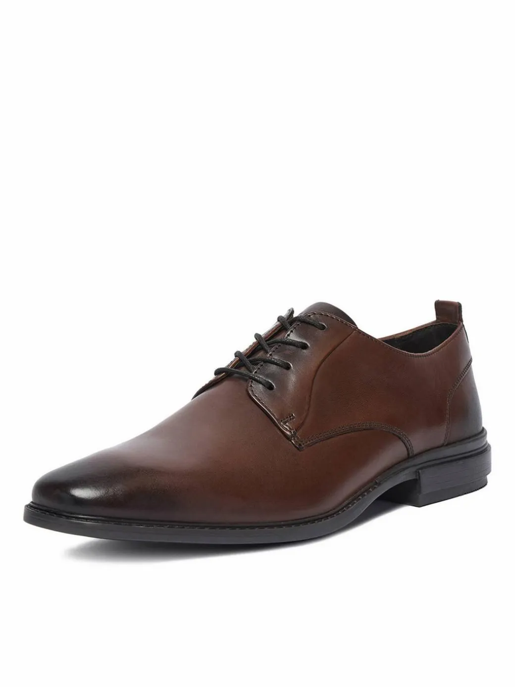 Scarpe basse CEO-ZAHARY-26 MI25 Marrone scuro