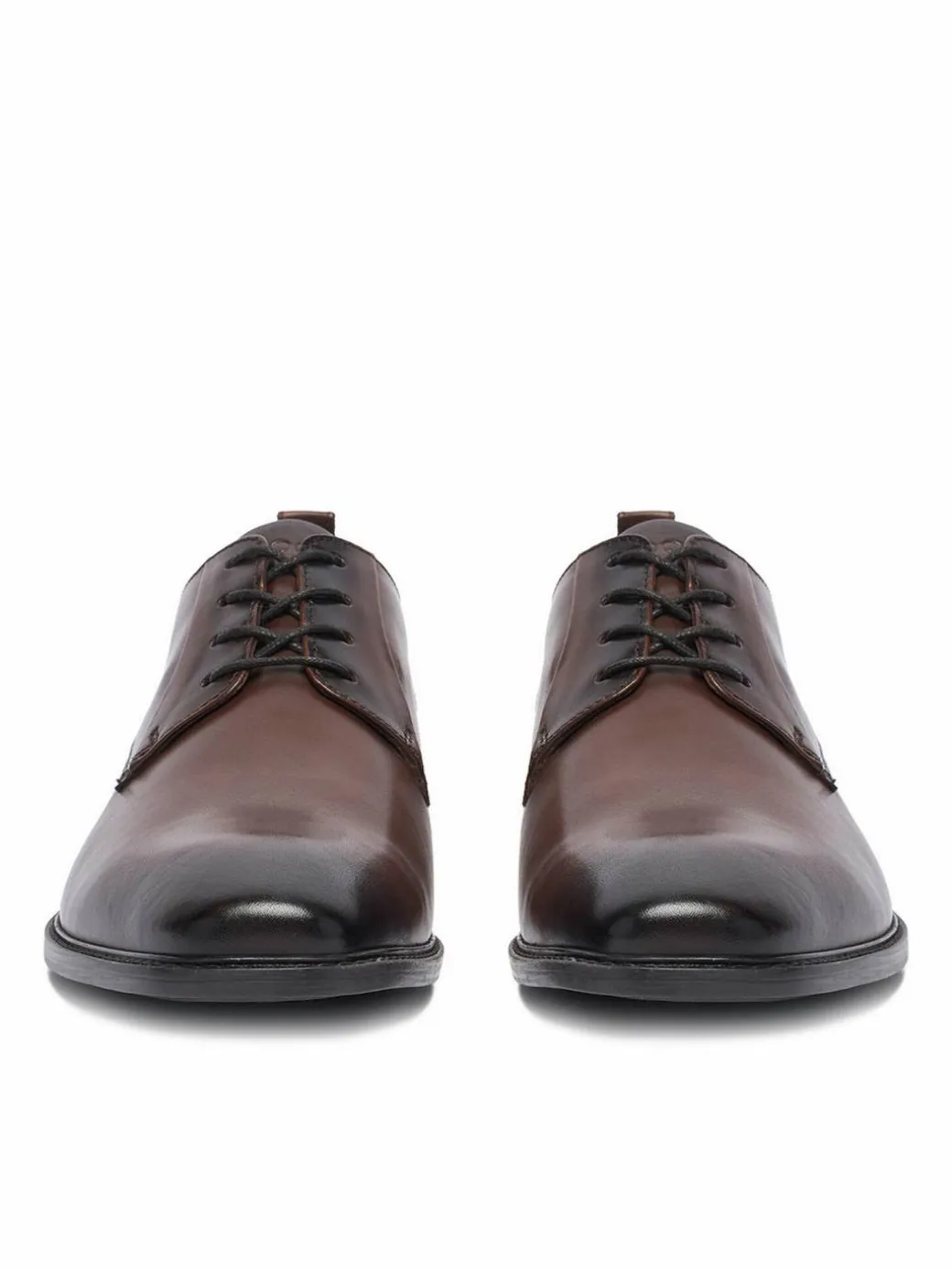 Scarpe basse CEO-ZAHARY-26 MI25 Marrone scuro