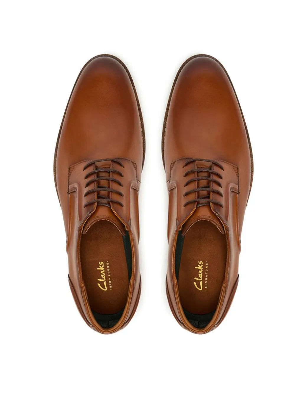 Scarpe basse CraftRemi Lace 26186389 Marrone