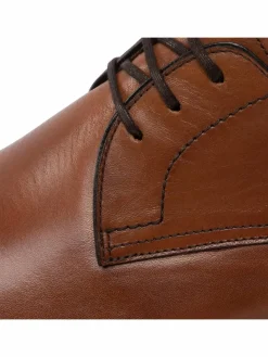 Scarpe basse Derby 5504 Marrone