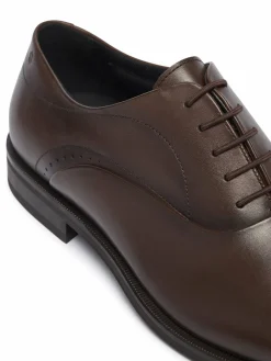 Scarpe basse Derrek 50562399 Marrone scuro