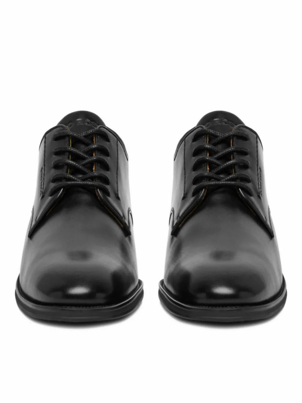 Scarpe basse EO-MARTINO-03 126AM Nero