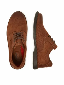 Scarpe basse HOLIDAY-01 MI18 Marrone