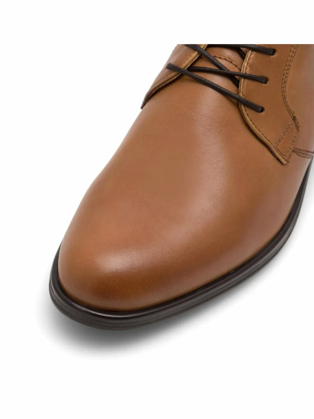 Scarpe basse JACKSON-03 MI08 Marrone