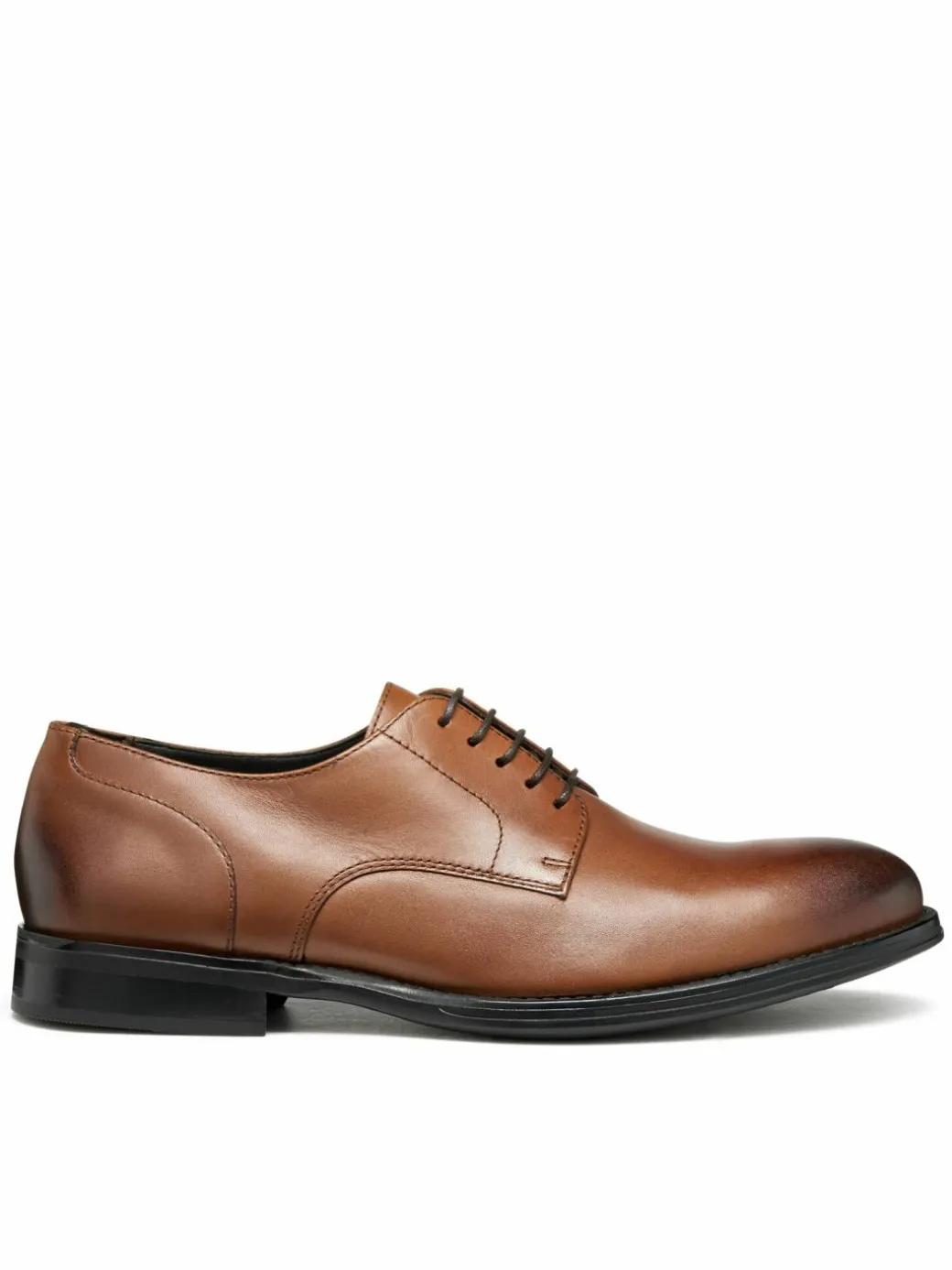 Scarpe basse U Barberigo U56MBC 00043 C6610 Marrone