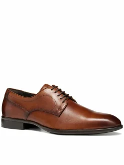 Scarpe basse U Thalos U66NYA 00043 C6001 Marrone