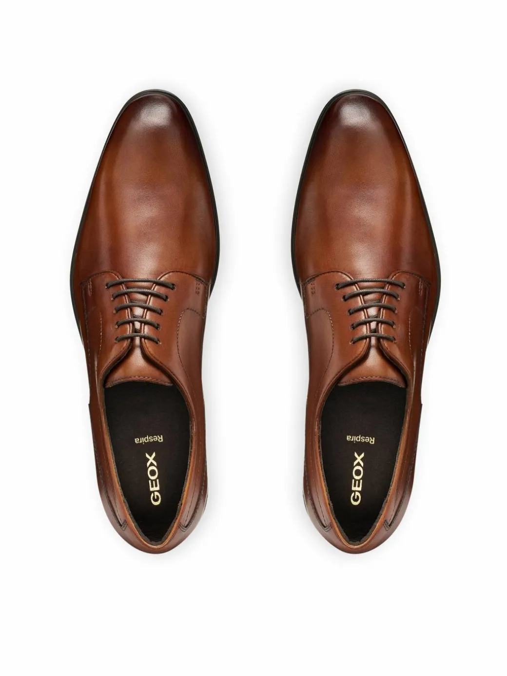 Scarpe basse U Thalos U66NYA 00043 C6001 Marrone