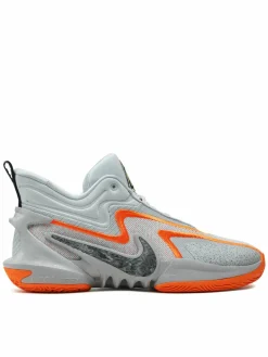 Scarpe da basket DH1537-004 Grigio