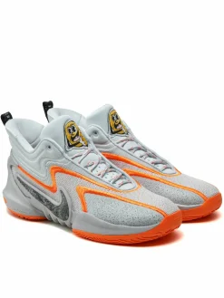 Scarpe da basket DH1537-004 Grigio