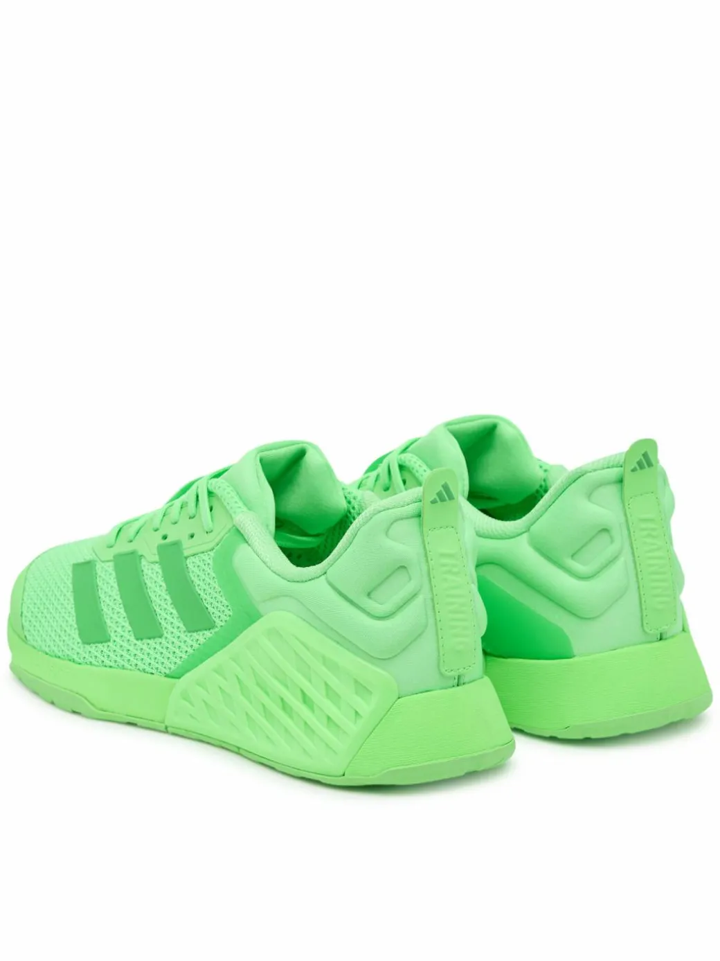 Scarpe da palestra Dropset 3 strength training JR1666 Verde
