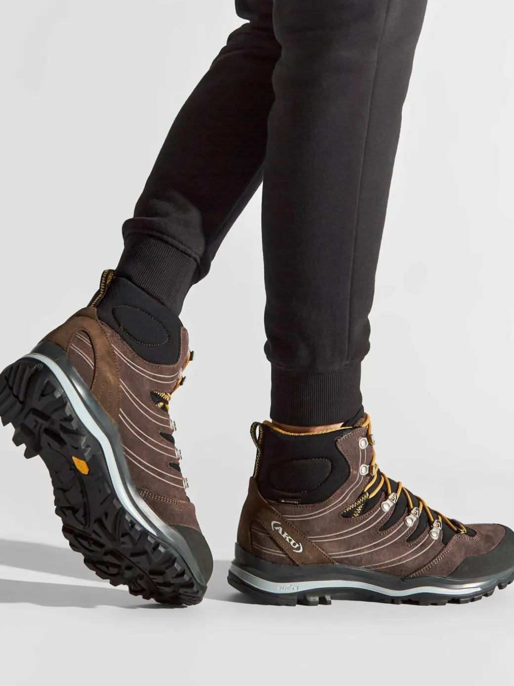 Scarpe da trekking Alterra Gtx GORE-TEX 402 Marrone