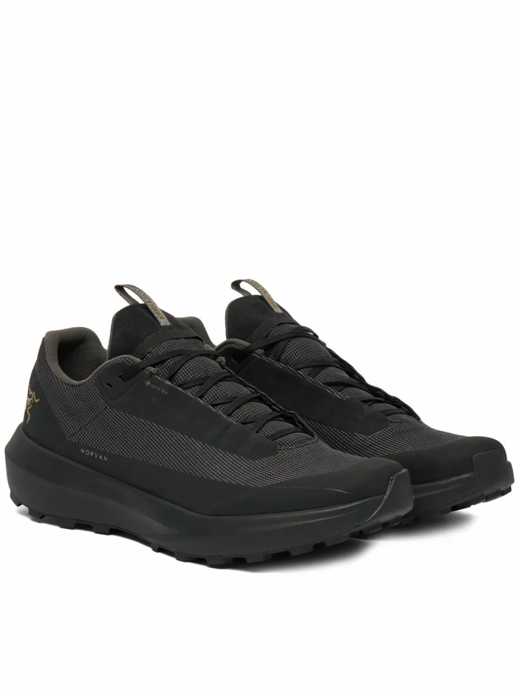 Scarpe da trekking Norvan Ld 4 Gtx X000010397 Nero