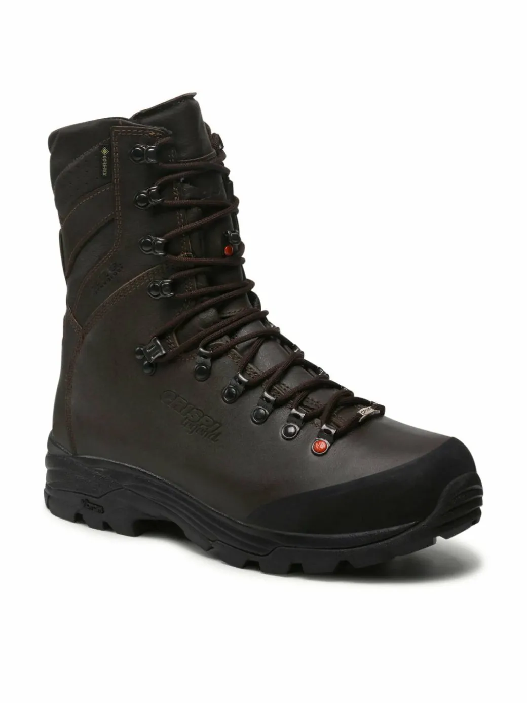 Scarpe da trekking Wild Evo Gtx GORE-TEX CF94004000 Marrone