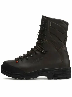 Scarpe da trekking Wild Evo Gtx GORE-TEX CF94004000 Marrone