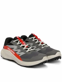 Scarpe running Alphaglide Gore-Tex L47975300 Grigio