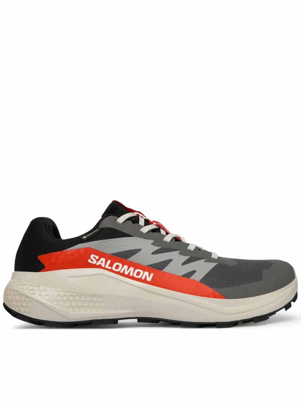 Scarpe running Alphaglide Gore-Tex L47975300 Grigio