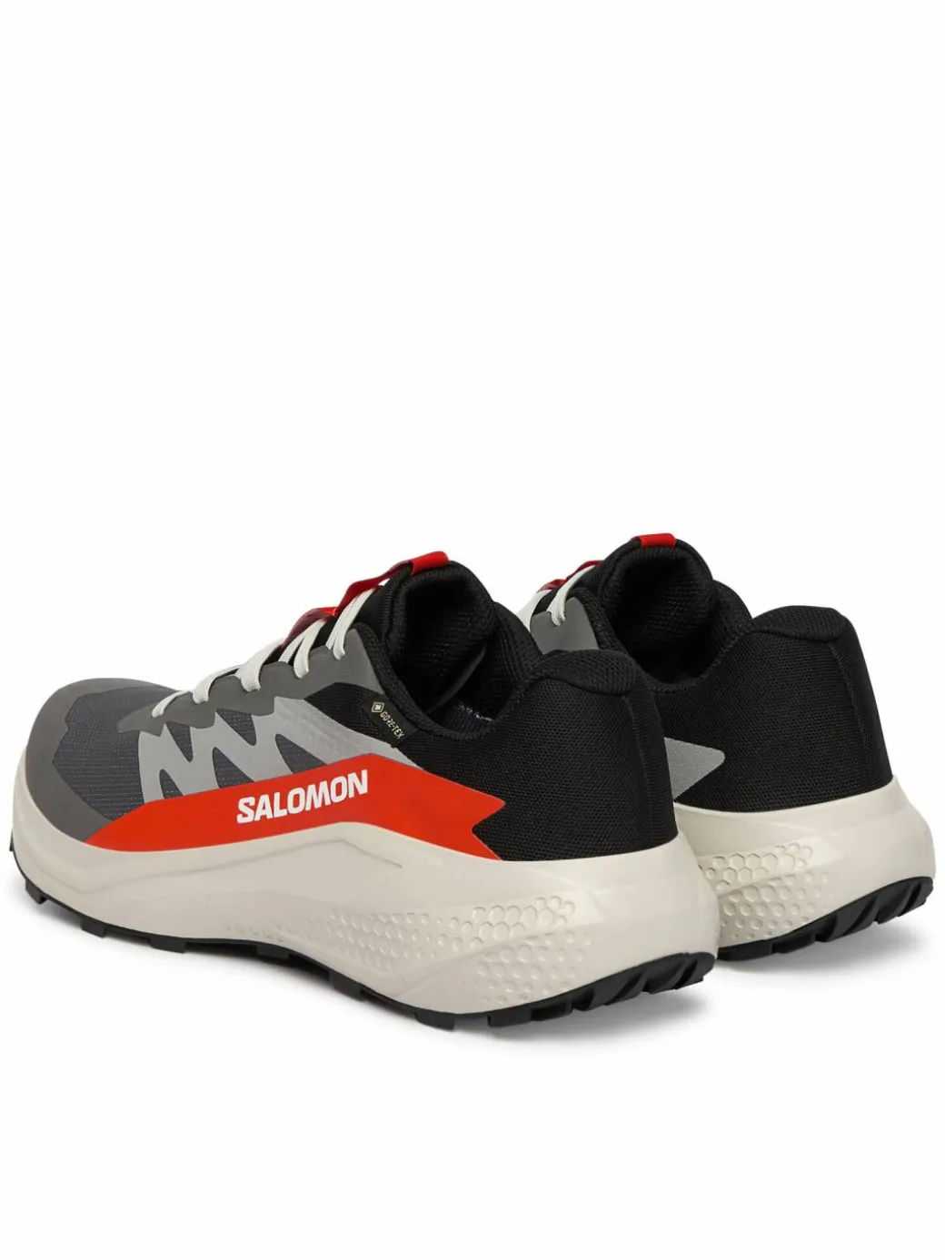 Scarpe running Alphaglide Gore-Tex L47975300 Grigio