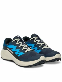 Scarpe running Alphaglide Gtx L47975100 Blu