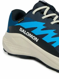 Scarpe running Alphaglide Gtx L47975100 Blu