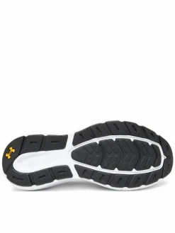 Scarpe running Rogue 5 3028256-025 Grigio