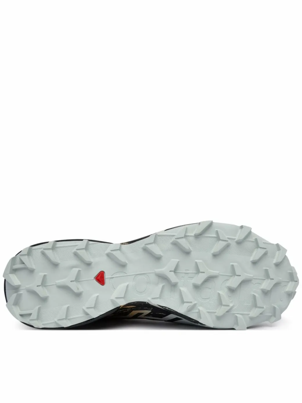 Scarpe running Speedcross 6 Gtx L47880000 Grigio
