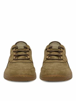 Sneakers CEO-08351-64 Marrone