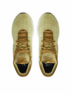Sneakers Lebron XXI Qs FZ7883 700 Marrone
