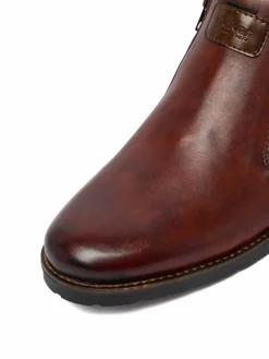Stivaletti CEO-14656-24 Marrone